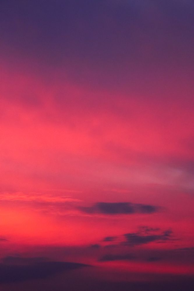 Photograph by Елена Неклюдова