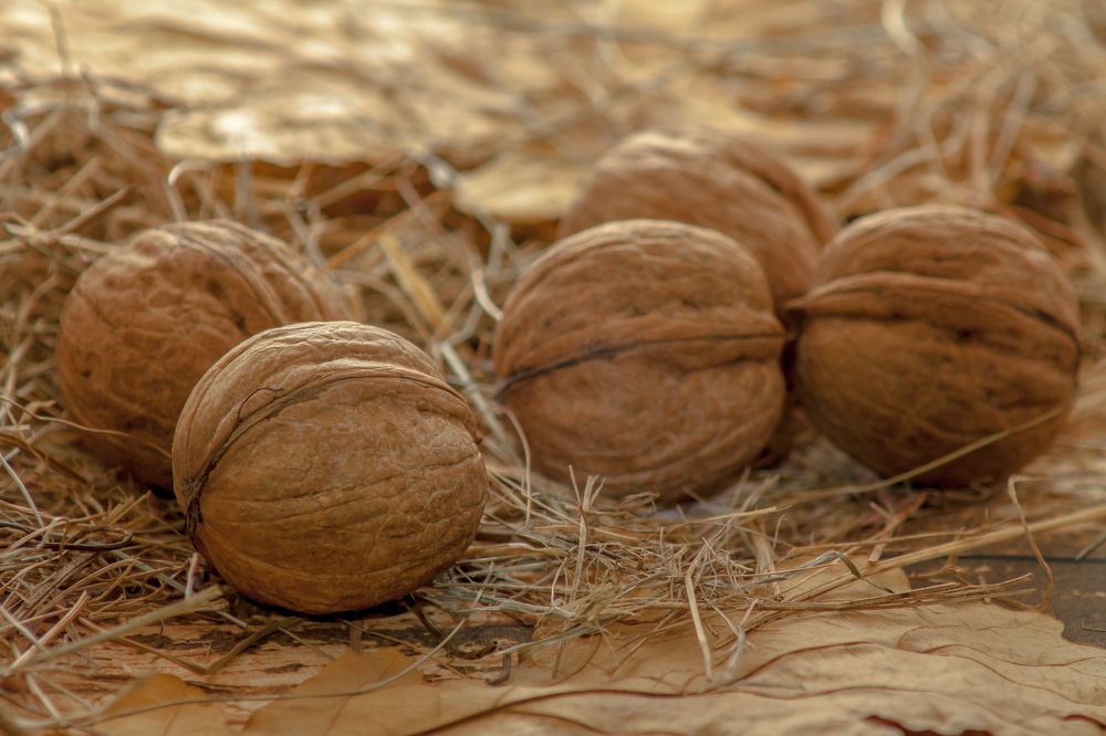 Фотография автора Валерий Елистратов