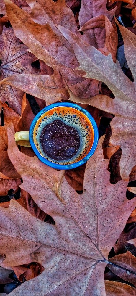 Фотография автора Mahdi Mohammadi