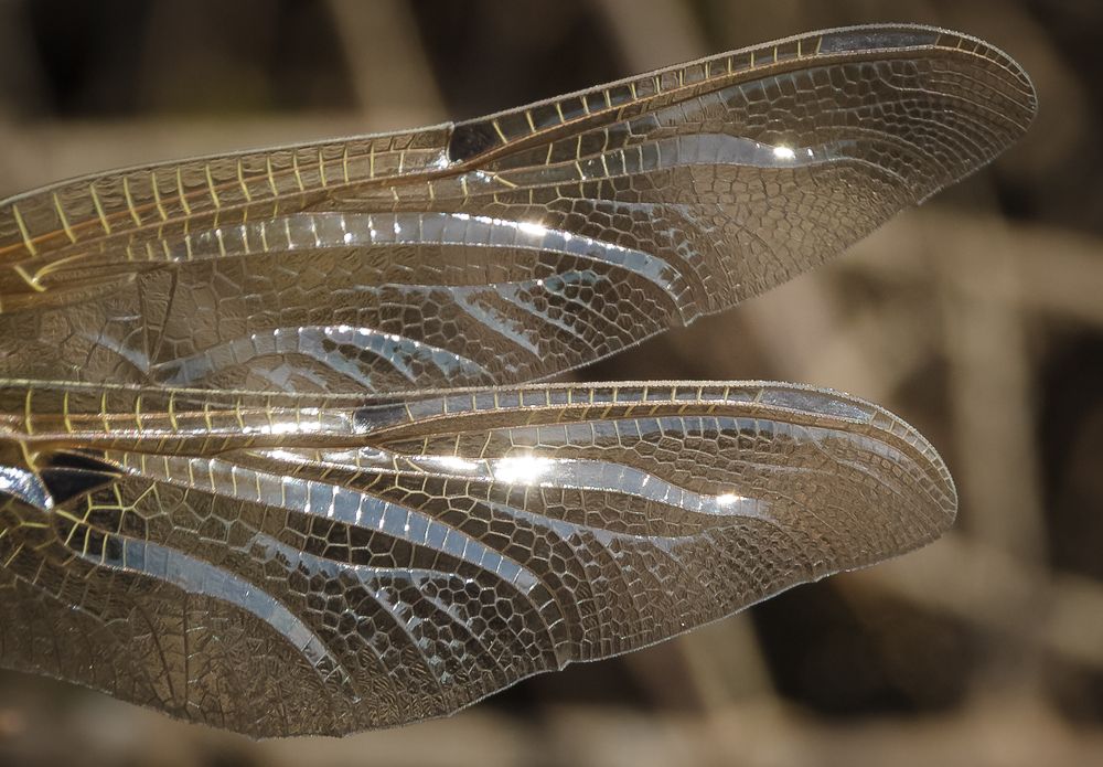 Photograph by Татьяна Романова