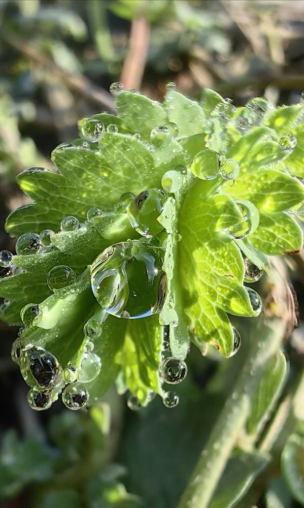 Photograph by Ирина Тихая