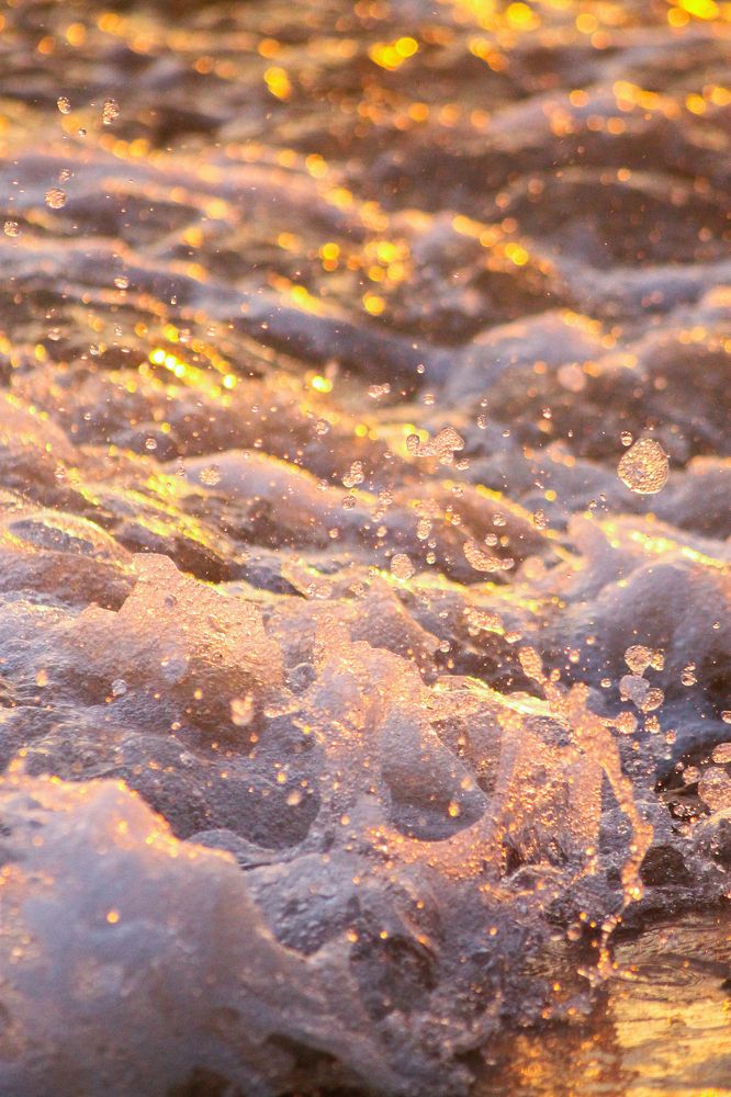 Photograph by Елена Неклюдова