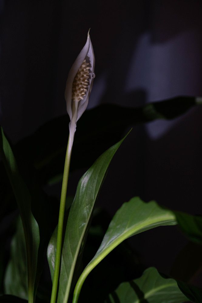 Фотография автора Оксана Белозерская