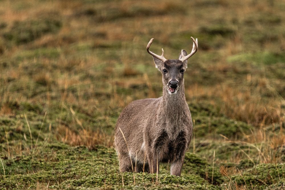 Photograph by Sandra Alvarez