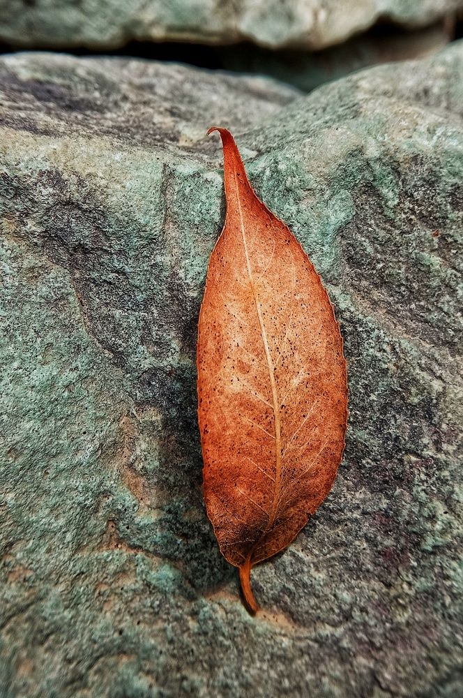 Фотография автора Mahdi Mohammadi