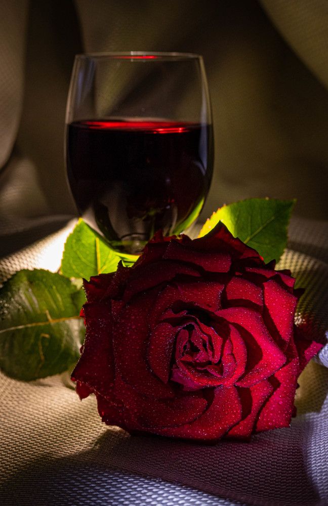 Фотография автора Оксана Белозерская