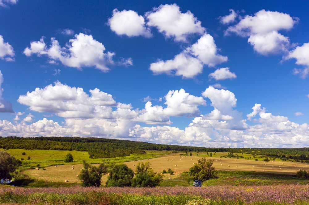 Photograph by Артем Парамонов