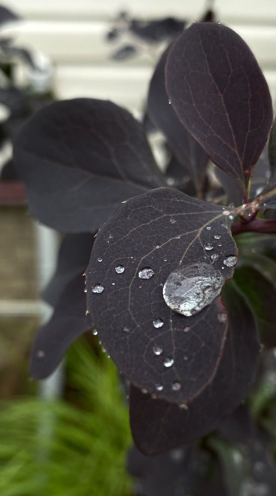 Photograph by Алиса Лукина