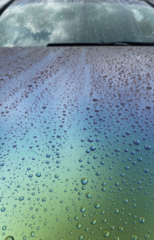 Photograph by Алиса Лукина