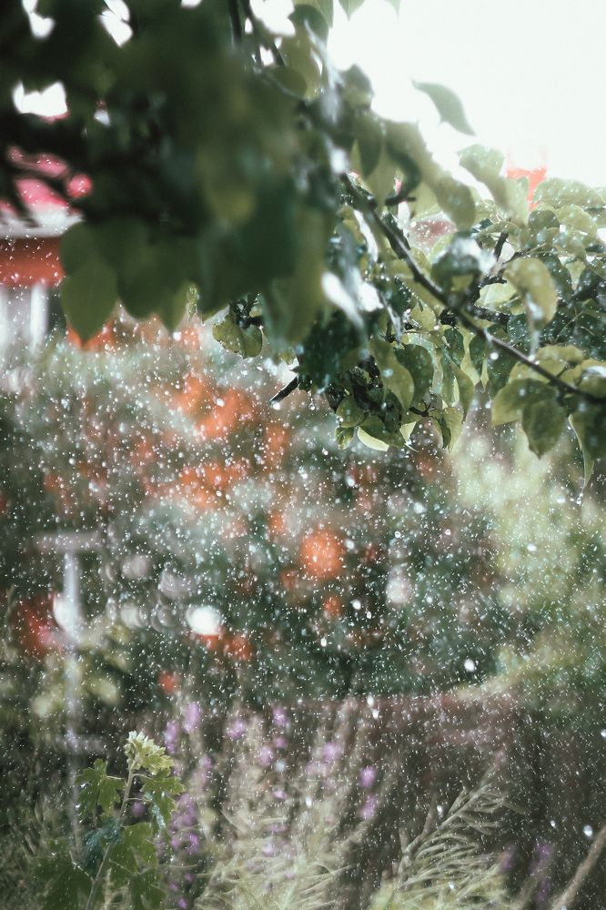 Photograph by Елена Неклюдова