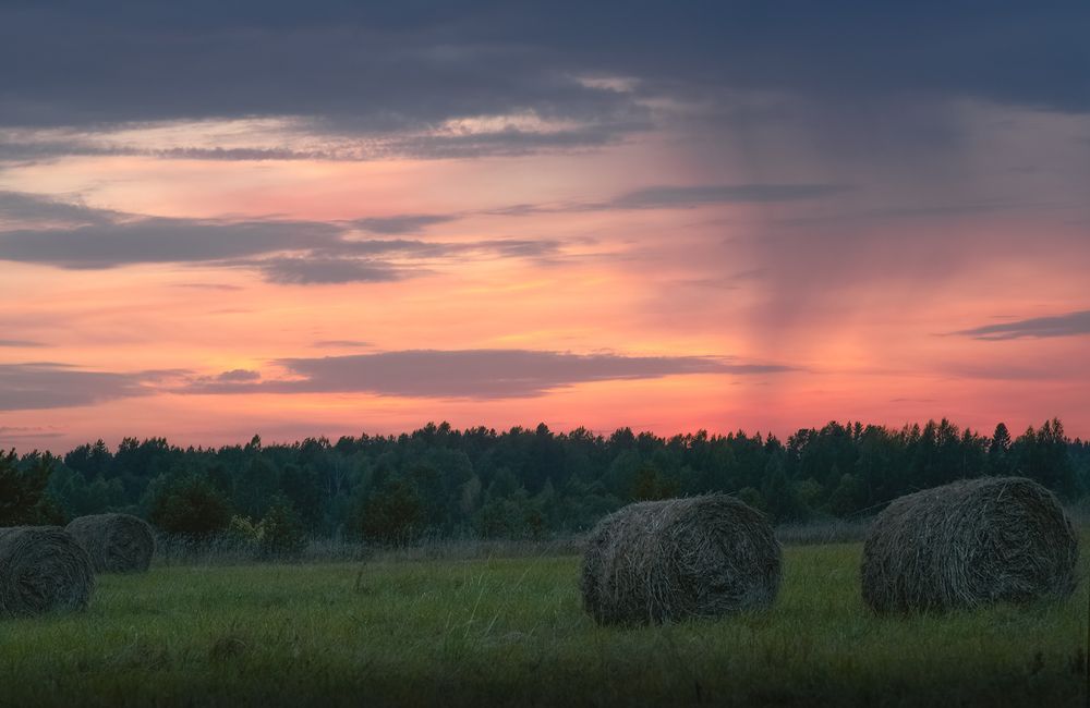 Photograph by Елена Амозова