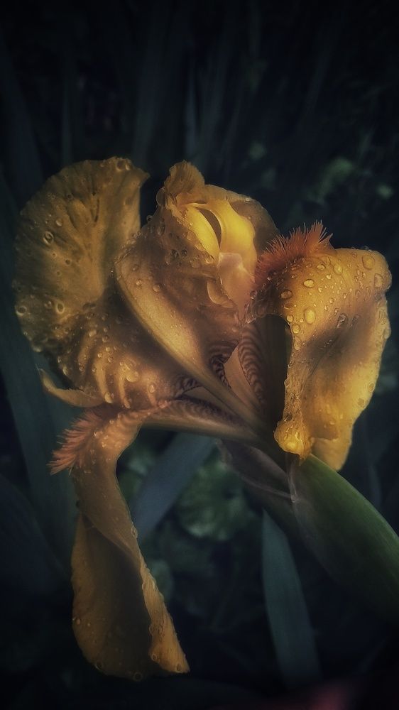 Photograph by Светлана Безъязычная