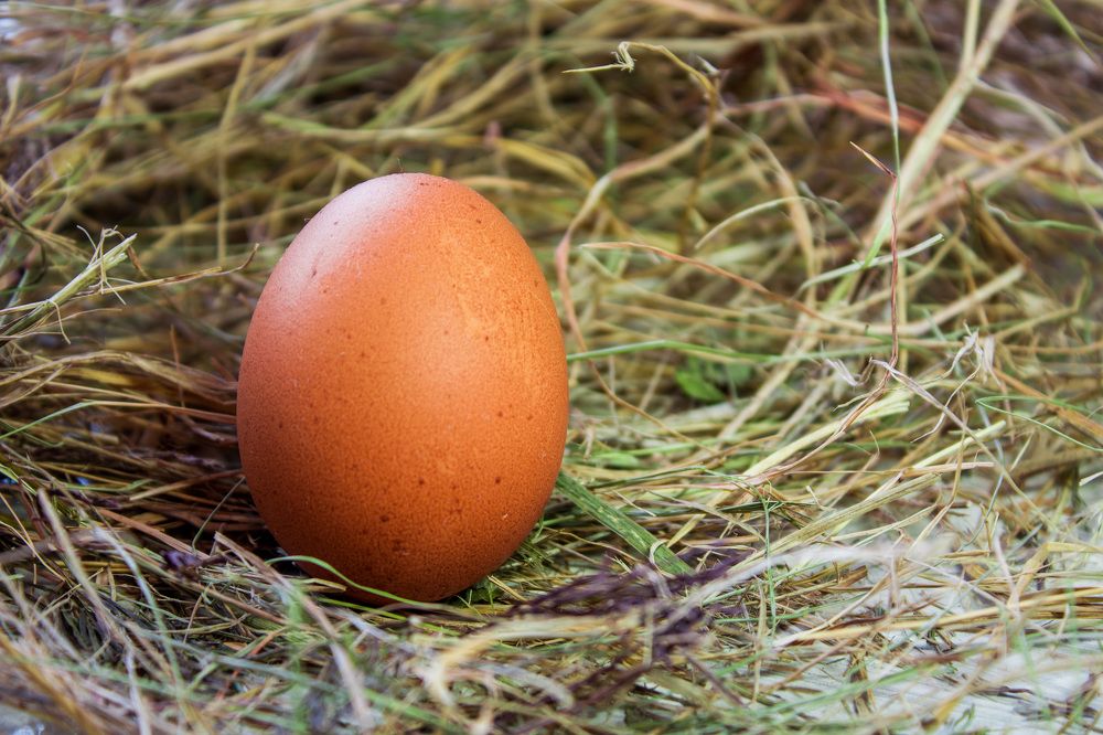 Фотография автора Валерий Елистратов