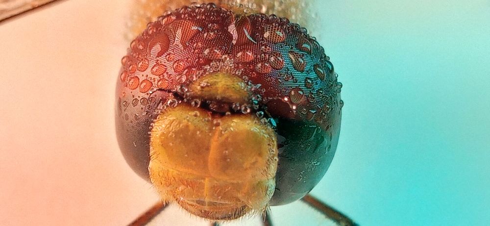 Фотография автора Mahdi Mohammadi