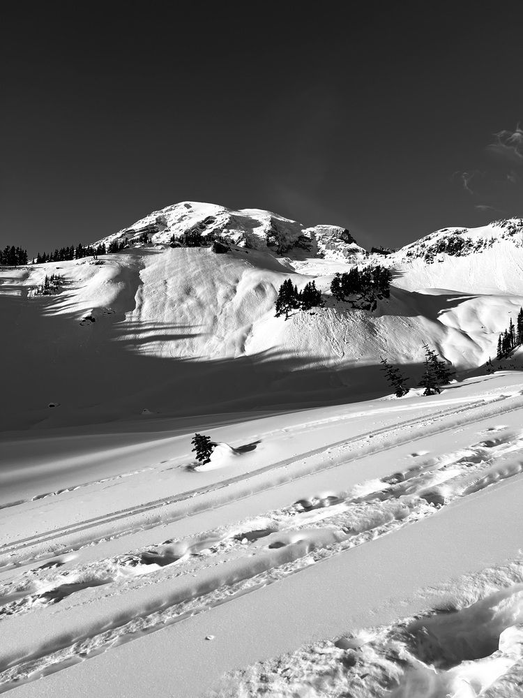 Фотография автора Diana