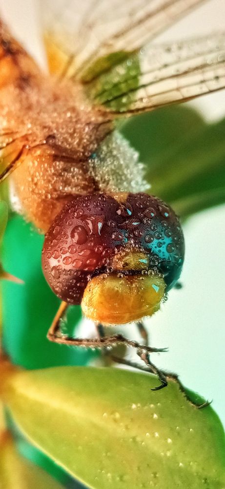 Фотография автора Mahdi Mohammadi