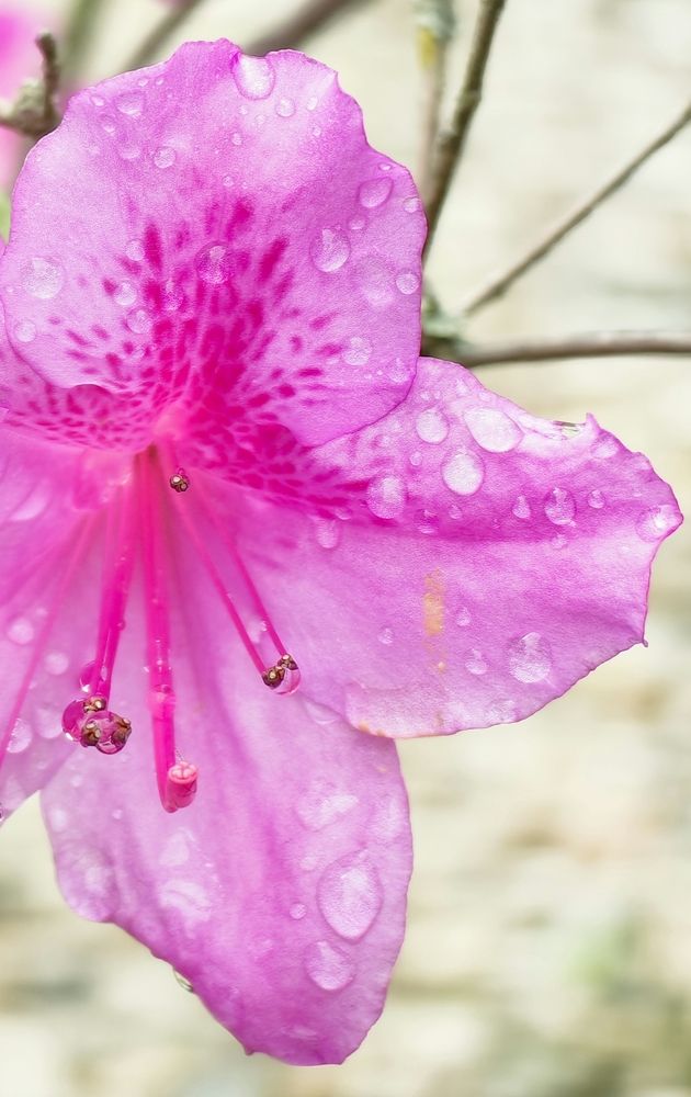 Photograph by Ольга Горох