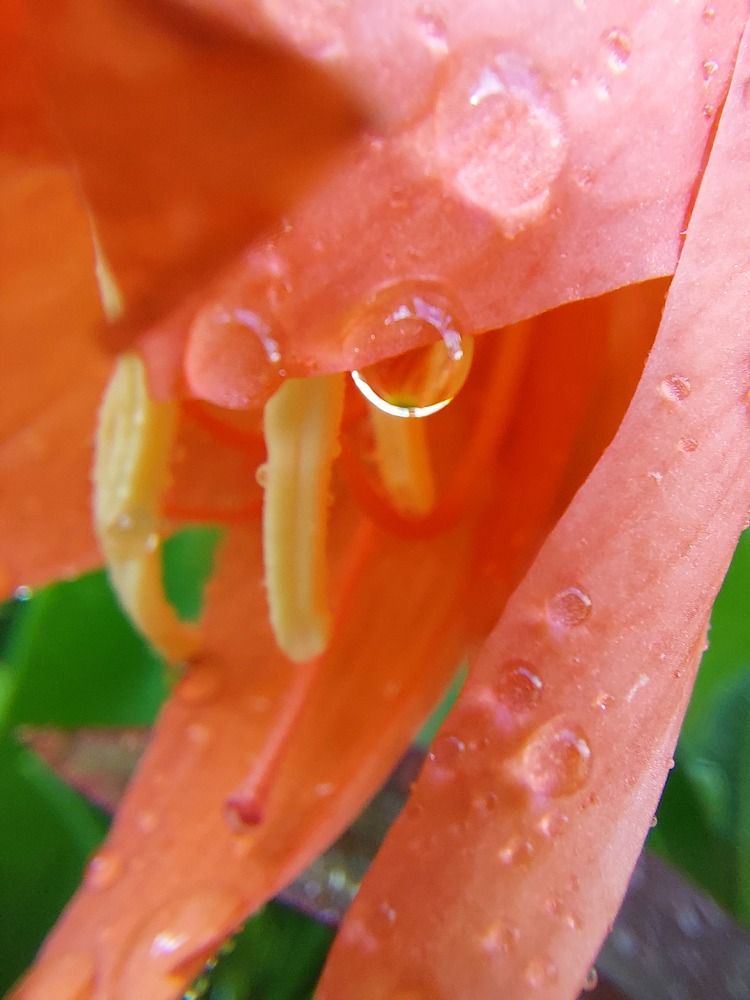 Photograph by CRINALDO REIS