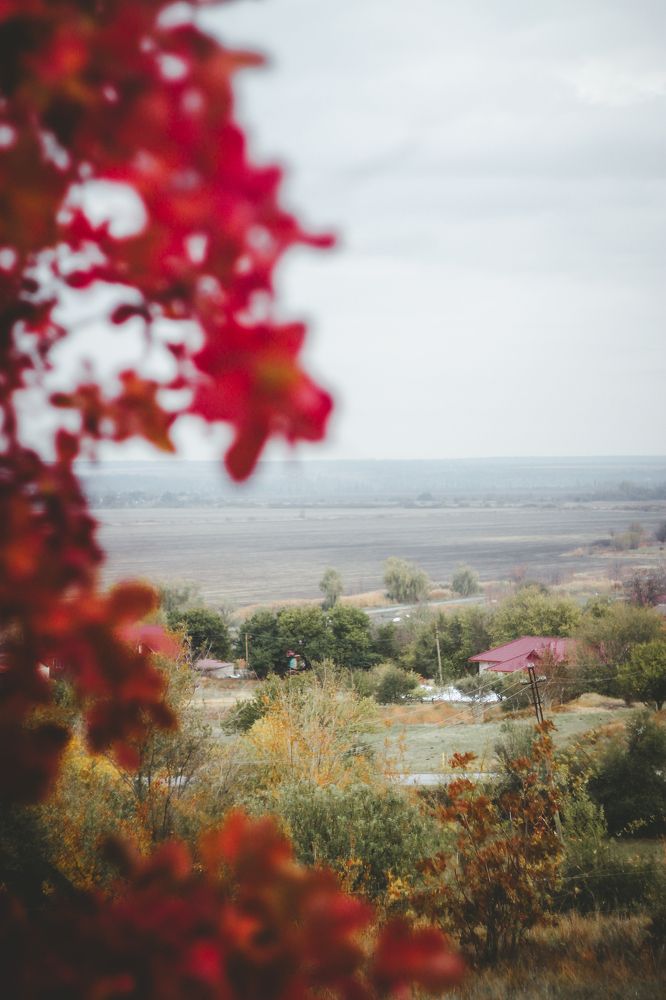 Photograph by Елена Неклюдова