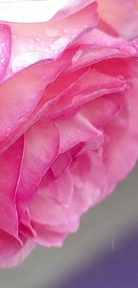 Photograph by Ольга Горох