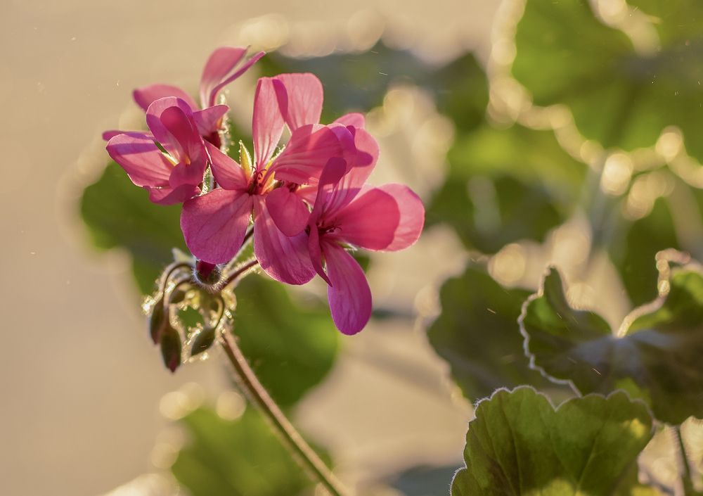 Фотография автора Дмитрий Кетов
