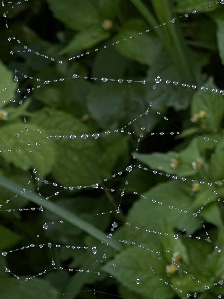 Photograph by Элла Киселева