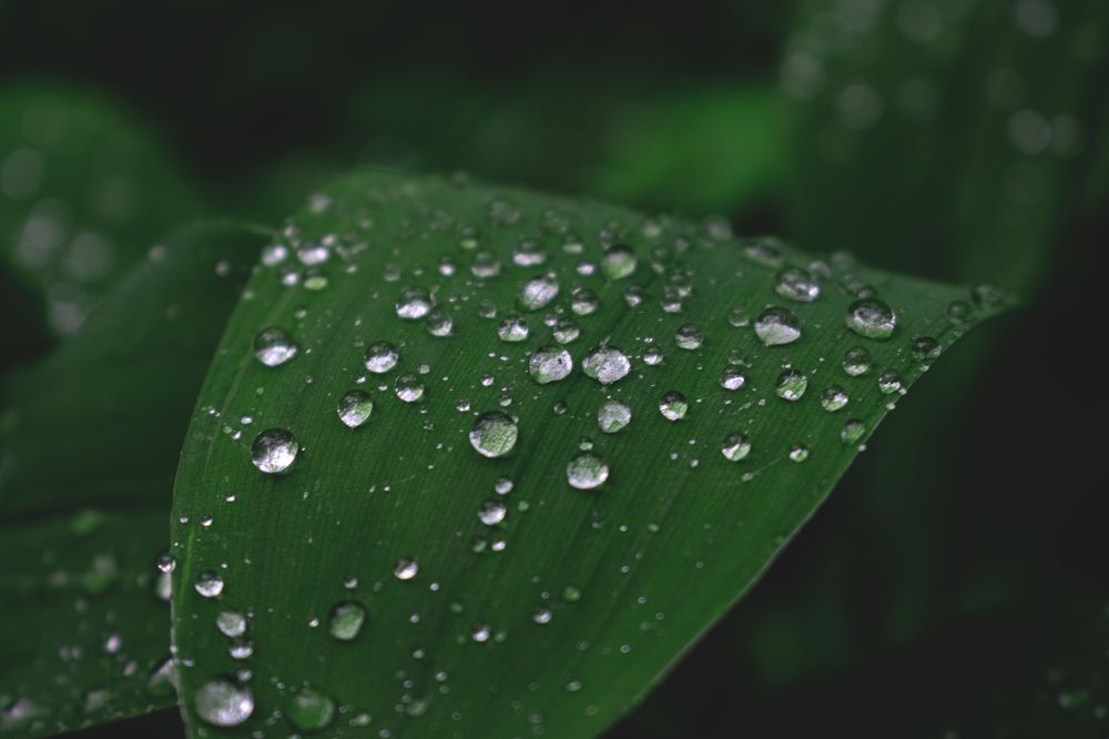 Фотография автора Алексей