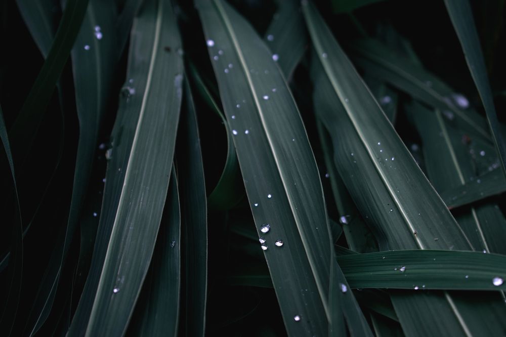 Фотография автора Алексей