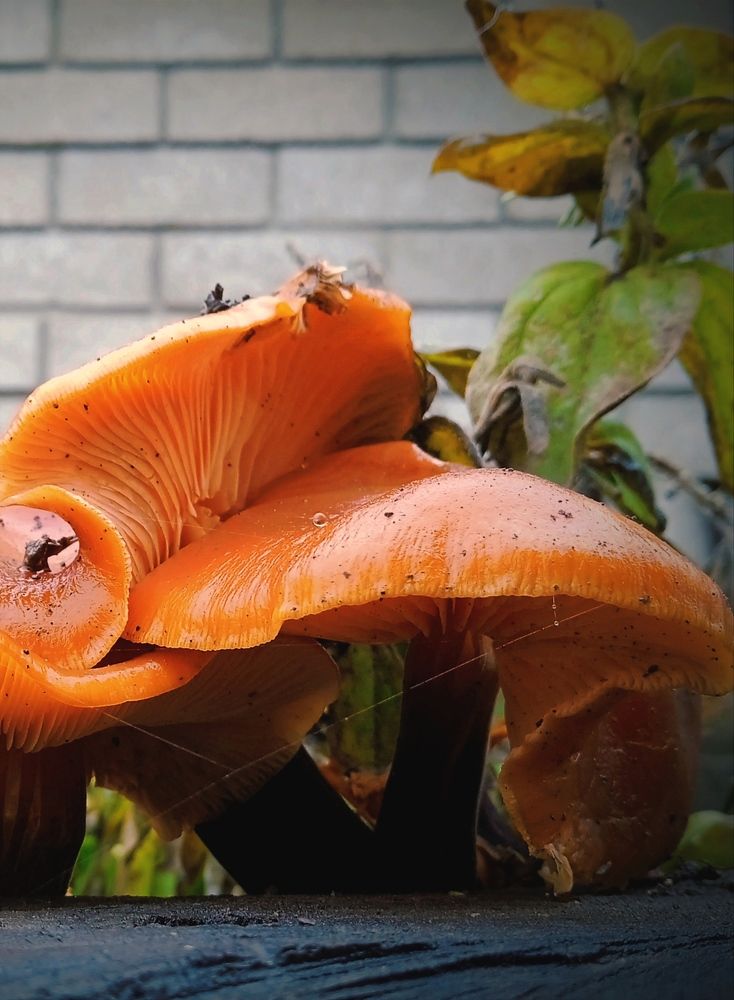 Photograph by Наталья Назаренко