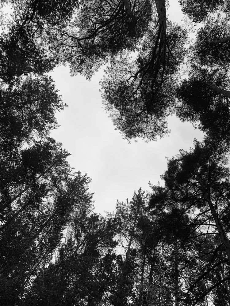 Photograph by Ольга Гаязова