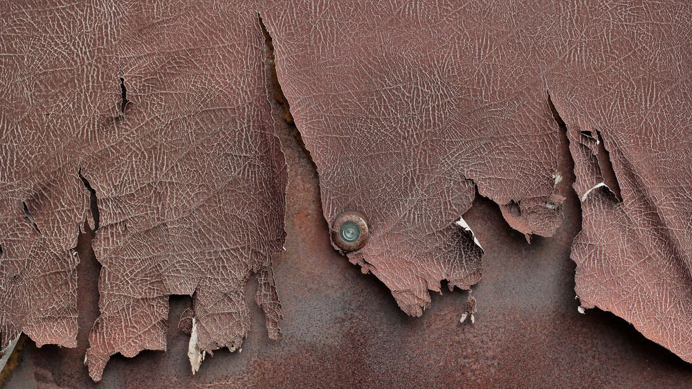 Photograph by Екатерина Родина