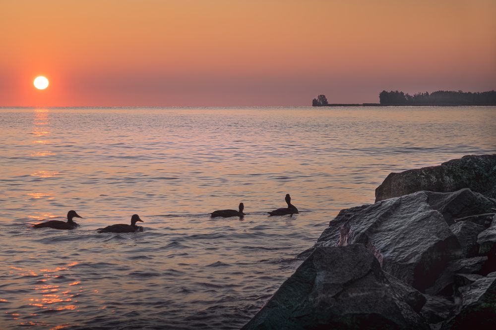 Photograph by Елена Амозова