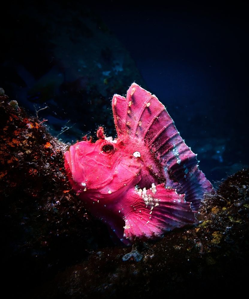 Photograph by Кирилл Леднев