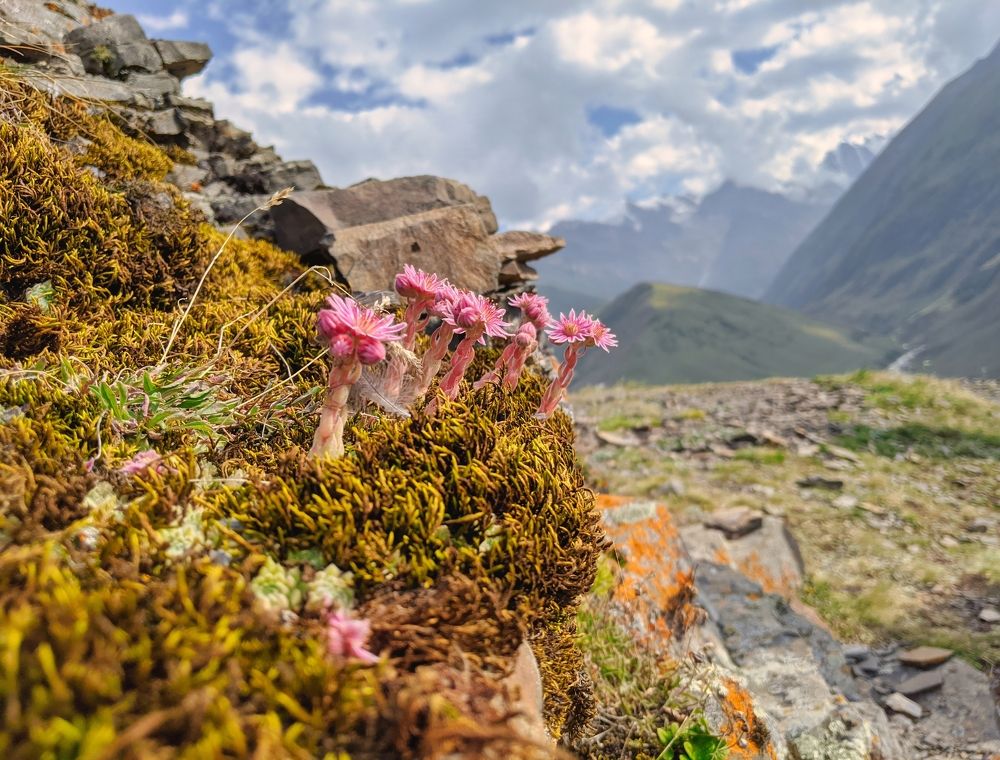 Photograph by Дудников Александр