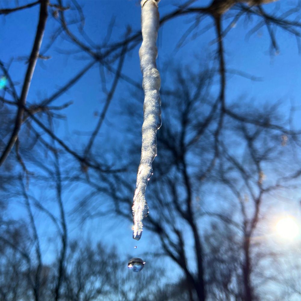 Photograph by Ирина Швейнова