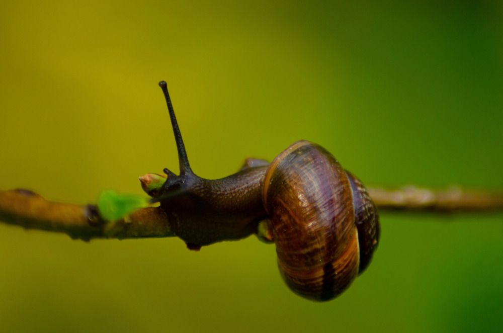 Photograph by Ольга Заповедная