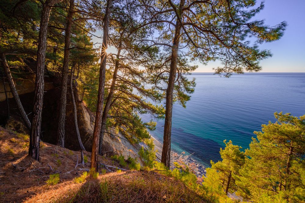 Photograph by Бабурин Олег