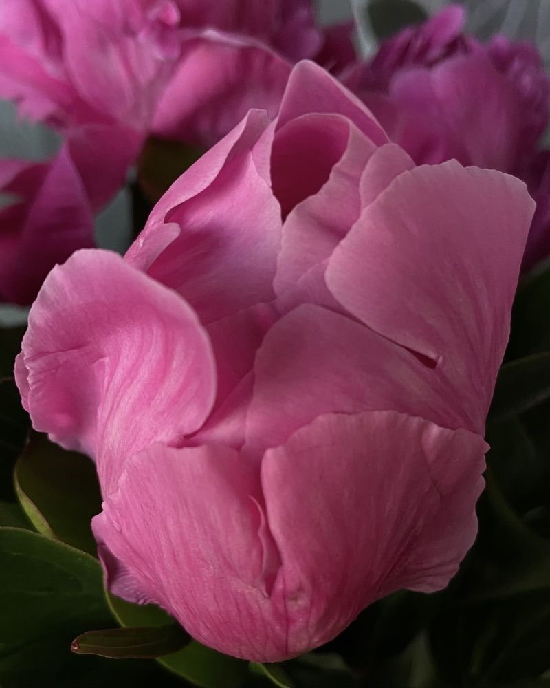 Photograph by Светлана Станевич