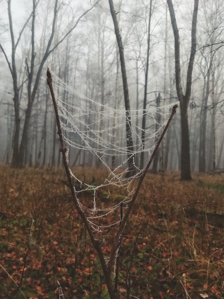 Photograph by Екатерина Чижевская