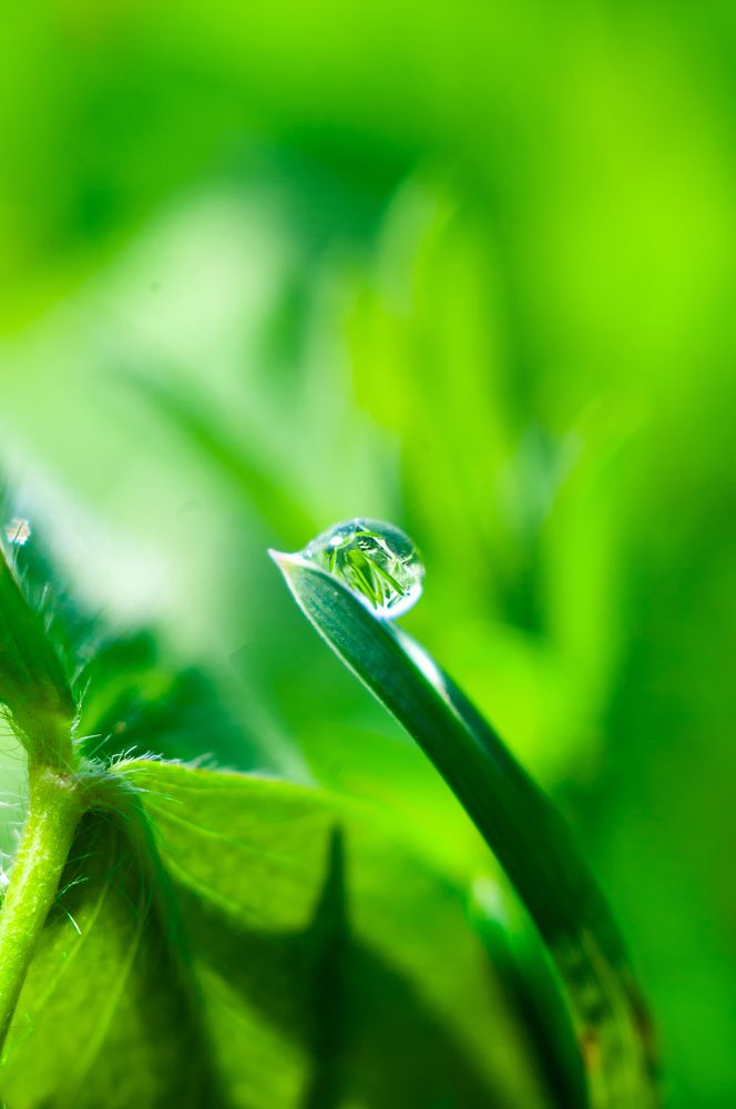 Photograph by Роман Приходько