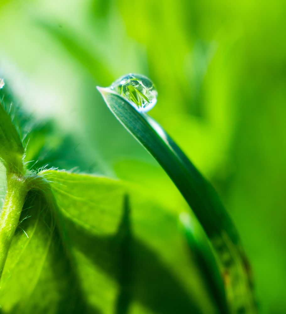 Photograph by Роман Приходько