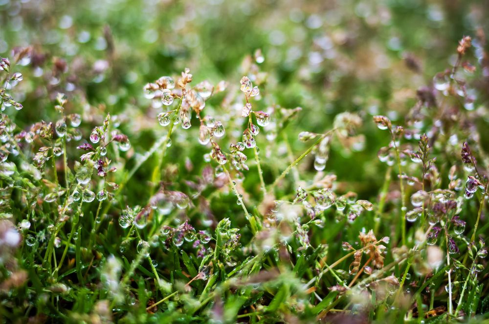 Photograph by Роман Приходько
