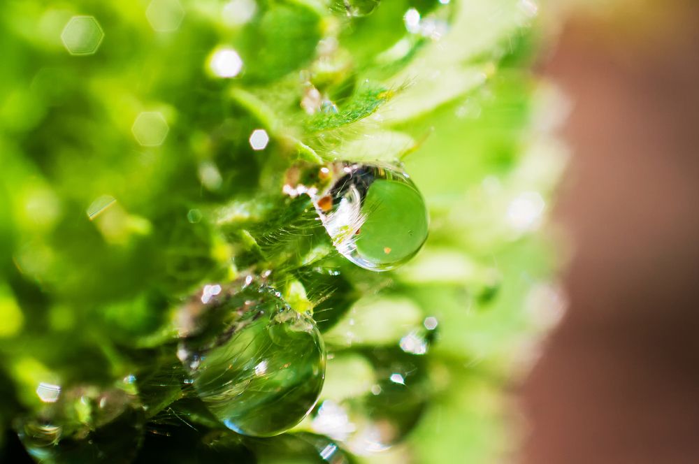 Photograph by Роман Приходько