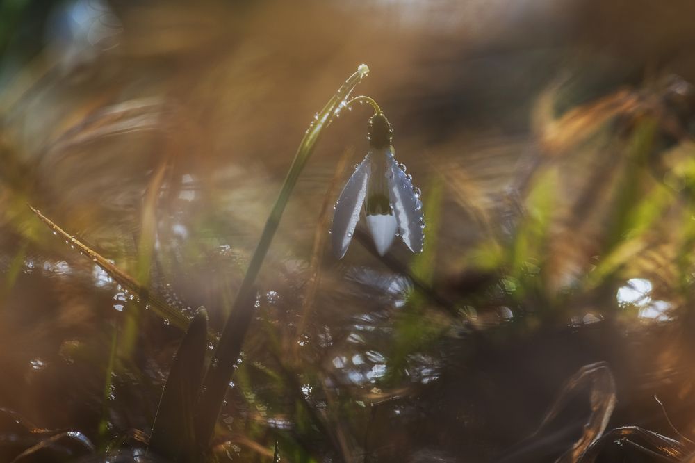 Photograph by ПУЗЕНКО ДМИТРИЙ