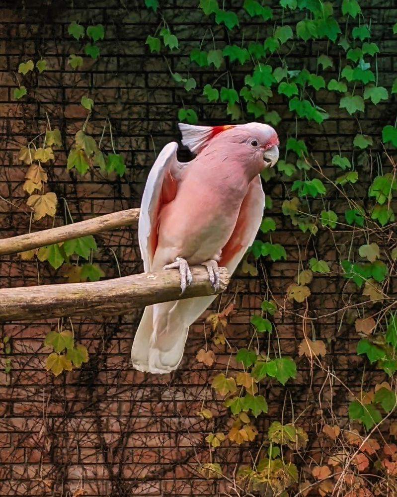 Photograph by Дудников Александр