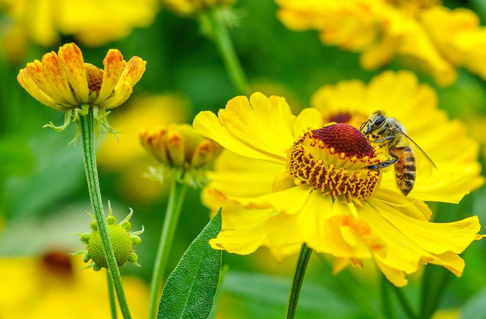 Photograph by Олеся zme