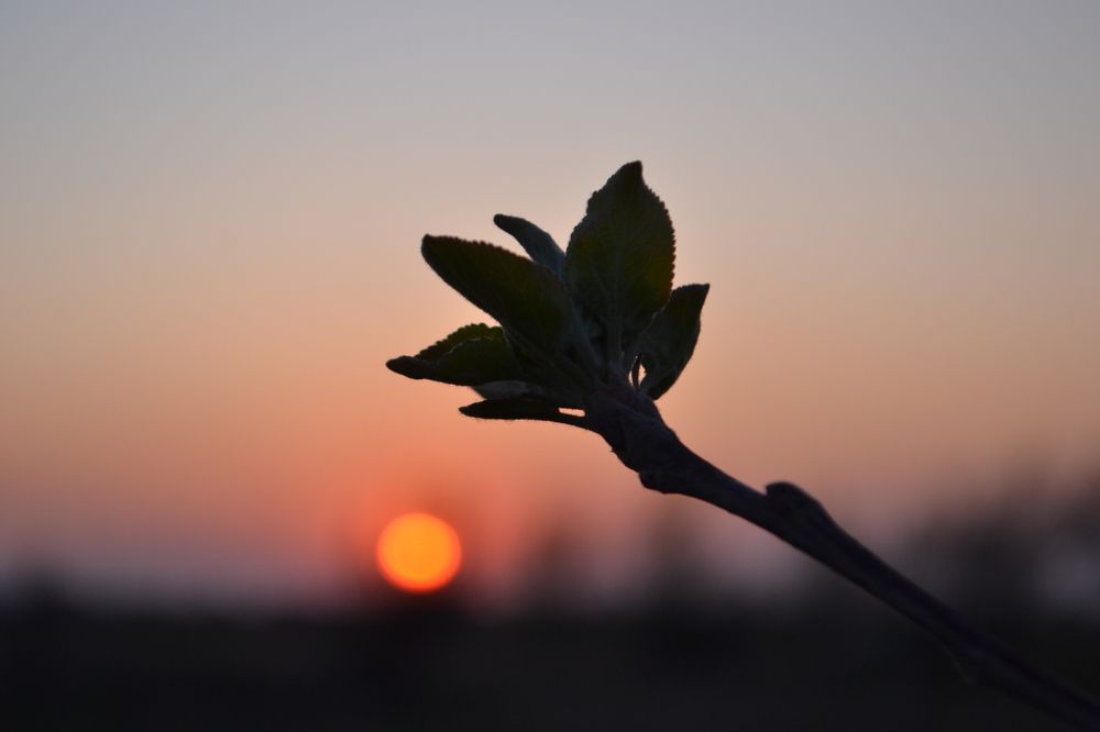 Photograph by Надежда Чаплынская