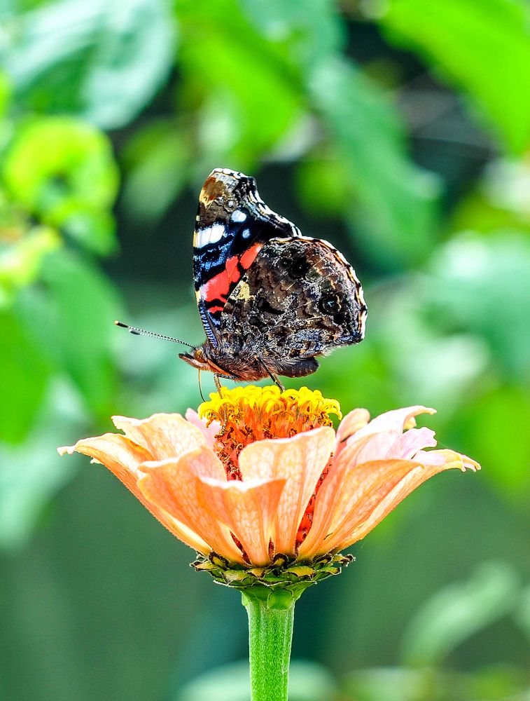 Photograph by Олеся zme