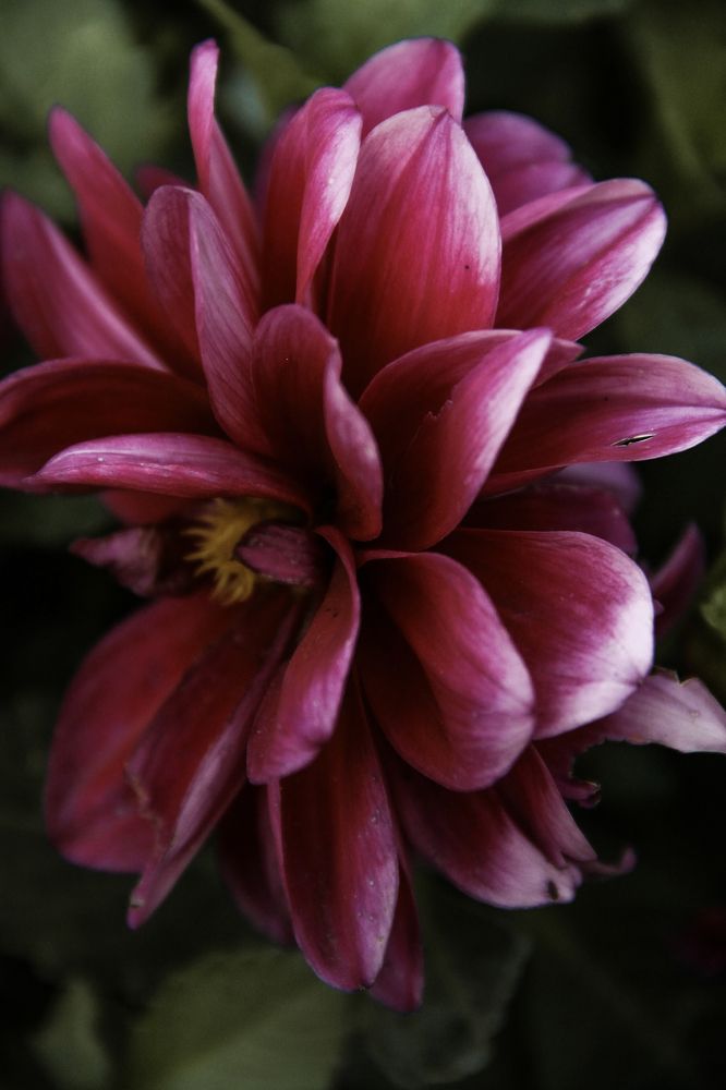 Photograph by Анастасия Псарёва