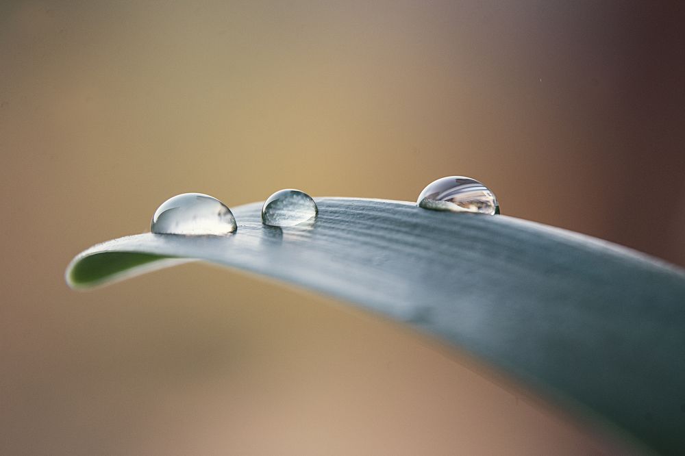 Photograph by Наталья Быстрая